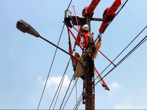 Heboh Ular Kesetrum Bikin Listrik Padam di Kalteng