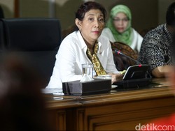 Susi Jengkel Ada Buzzer yang Ejek Ikan Lele