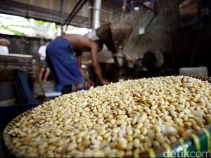 Tingkatkan Produksi Kedelai, Kementan Siapkan Benih dan Cari Lahan