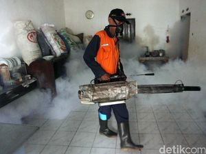 Antisipasi DBD, Ahok Akan Tambah Uang untuk Petugas Jumantik