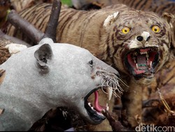 Ayo yang Mau Pamer Siksa Hewan Langka di Media Sosial Ditunggu!