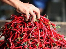 Harga Sembako Jogja Hari Ini 19 Desember 2025: Cabai Merah Makin Terpuruk!