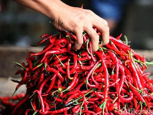 Harga Sembako Jogja Hari Ini 26 Juni 2024: Cabai Merah Besar Anjlok! Harga Sembako Jogja Hari Ini 26 Juni 2024: Cabai Merah Besar Anjlok!