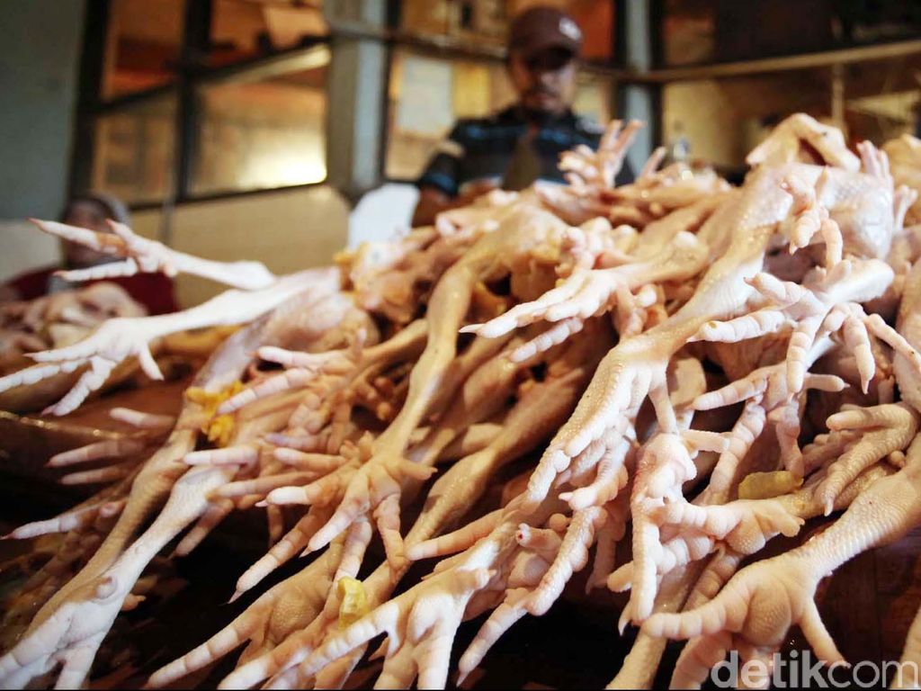 RI Putar Otak Hadapi Gugatan Brasil soal Impor Daging Ayam RI Putar Otak Hadapi Gugatan Brasil soal Impor Daging Ayam