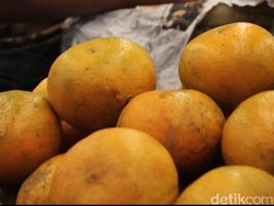 Peneliti Farmasi UGM Ungkap Potensi Jeruk untuk Tangkal Corona