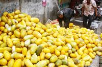 5 Tips Memilih Timun Suri yang Renyah dan Juicy