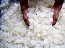 Benarkah Makan Kolang-kaling Saja Bisa Atasi Saraf Terjepit?