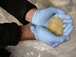 Diduga Edarkan Sabu, Mahasiswi Kebidanan Disergap Polisi di Pangkajene