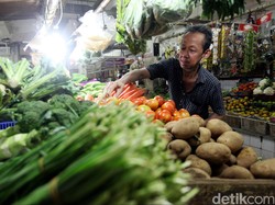RI Masih Impor Kentang, Ini Penjelasan Kementan