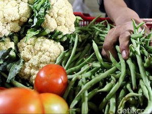 Indonesia Bakal Ekspor Sayuran Hingga Ikan ke Qatar