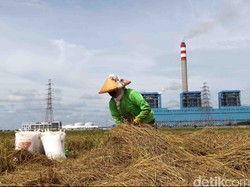 Begini Kronologi dan Dugaan Penyebab Kebakaran PLTU Indramayu