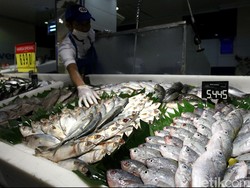 Siap-siap! Harga Ikan Diramal Naik Hingga 15% di Minggu Pertama Puasa