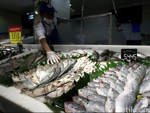 Siap-siap! Harga Ikan Diramal Naik Hingga 15% di Minggu Pertama Puasa Siap-siap! Harga Ikan Diramal Naik Hingga 15% di Minggu Pertama Puasa
