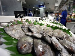 Nilai Ekspor Perikanan RI Selama 2017 Capai Rp 60,8 Triliun