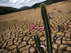 Waspada El Nino, Musim Kemarau Diprediksi Sampai November