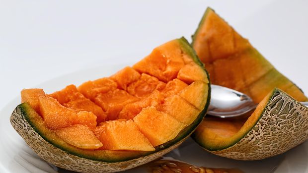 Ilustrasi Melon Orens Ilustrasi Melon Orens