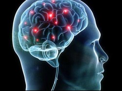 Ilmuwan Sukses Tumbuhkan Sel Otak dari Sel Kulit Manusia