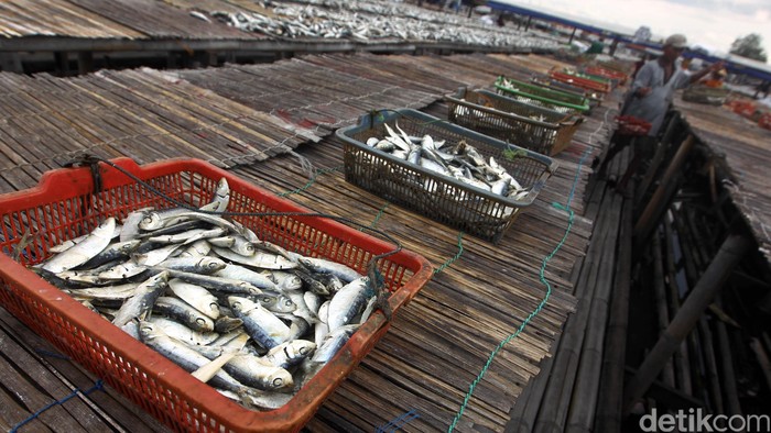 Kandungan garam ikan asin dapat meningkatkan risiko stroke dan serangan jantung (Foto: Hasan Alhabshy)