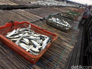Singgung Ikan Asin, Menkes Ingatkan Risiko Stroke dan Serangan Jantung