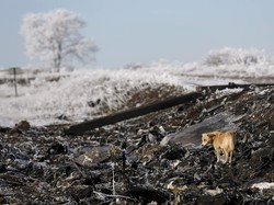 Malaysia Ajukan Draf Resolusi PBB Soal Pengadilan Internasional MH17