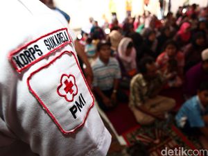 Intip Relawan PMI Dilatih Tanggap Darurat Bencana
