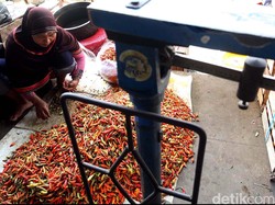 Harga Cabai Meroket Hingga Rp 90.000/Kg, Petani: Kita Saja Jualnya Rp 48.000/Kg