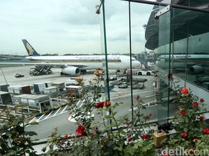 Kejar 20 Juta Wisman, Indonesia Butuh Terminal Bandara Murah