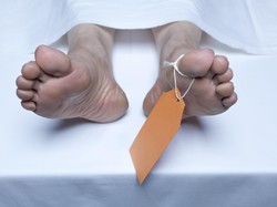 Peneliti Sebut Manusia Bisa Mencium Bau Kematian