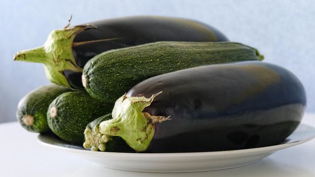 Zucchini