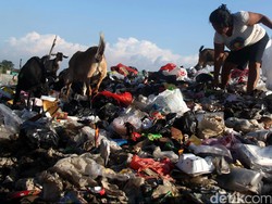 4 Aksi Pengelola Sampah Bantargebang Membalas Serangan Ahok