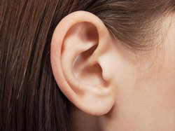 Otak Ternyata Lebih Menyukai Suara Manusia yang Positif, Ini Alasannya