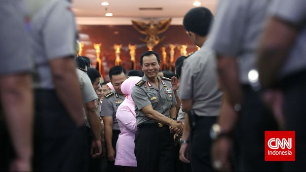 Veronica Koman, Pengacara Kelompok Marjinal Sampai Papua