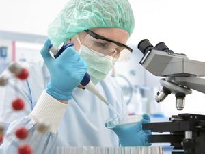 Daftar Jurusan Kuliah dengan Gaji Tertinggi untuk Lulusannya Daftar Jurusan Kuliah dengan Gaji Tertinggi untuk Lulusannya