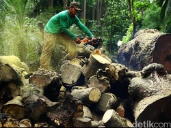 Geger Pria di Sulsel Cari Istri ke Tetangga Sambil Geber Gergaji Mesin