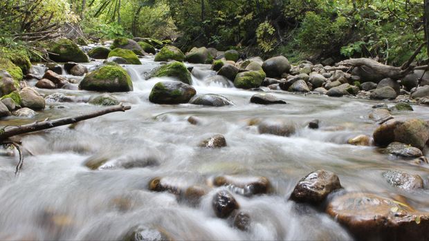 Ilustrasi sungai
