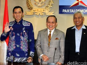 Ruhut Dinonaktifkan karena Dukung Ahok? Waketum PD: Bukan Itu Saja