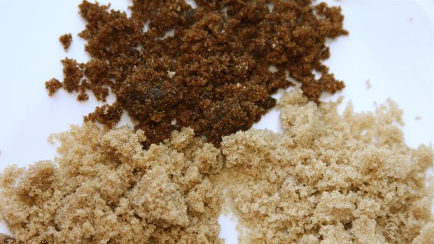 Ilustrasi Gula Merah