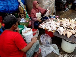 Daging Ayam di Jabar Tembus Rp 40 Ribu per Kg, Pedagang Panik