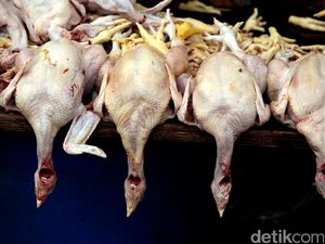 Impor Daging Ayam Brasil Dibuka, Mendag: Enggak Masuk-masuk Impor Daging Ayam Brasil Dibuka, Mendag: Enggak Masuk-masuk