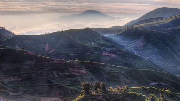 Bukit Sikunir, Dieng