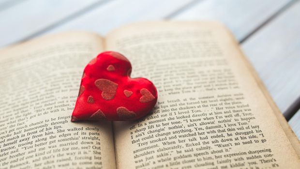 Ilustrasi novel romantis
