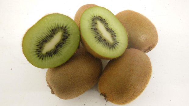 Ilustrasi buah kiwi