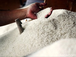 Ada Beras Siluman, Mentan: Spekulan Tak Mau Rugi