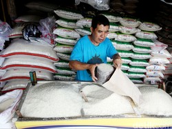 Penyebab Mahalnya Beras RI: Pedagang Ambil Untung Kebanyakan