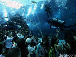 Pesona Sentosa Island yang Jadi Saksi Sejarah Trump-Kim