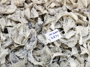 Corona Bikin Harga Sarang Burung Walet Anjlok