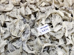 Corona Bikin Harga Sarang Burung Walet Anjlok