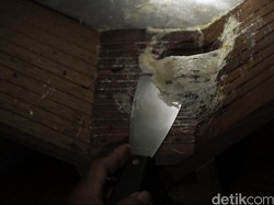 3 Pencuri Sarang Burung Walet Diringkus, Ternyata Residivis