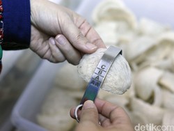 Curi Sarang Walet untuk Karaoke, 2 Pemuda di Sumsel Dibekuk Polisi