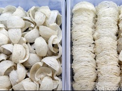 Mau Mulai Bisnis Sarang Burung Walet? Baca Dulu Tipsnya di Sini